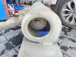 IMG_20250913_114917.jpg