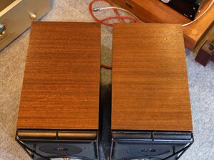 IMG_20250920_175556.jpg