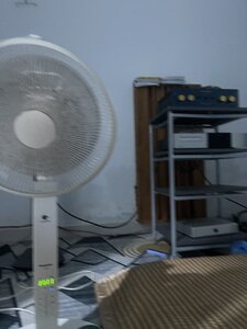 IMG_4040.jpeg