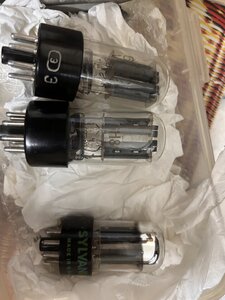 IMG_6123.jpeg