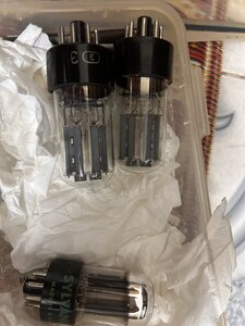 IMG_6124.jpeg