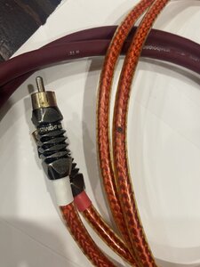 IMG_0565.jpeg