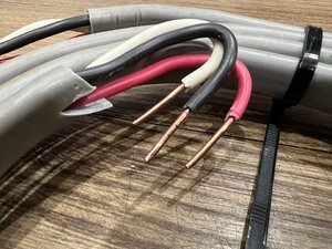 IMG_8972.jpeg