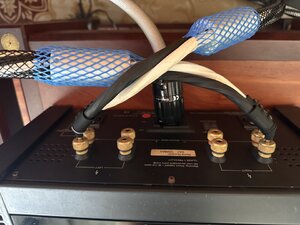 IMG_7343.jpeg