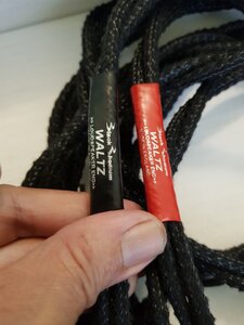 IMG_1123.jpeg