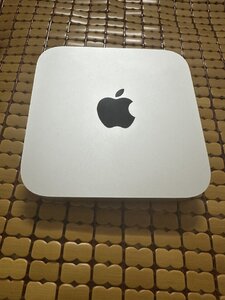 IMG_8645.jpeg