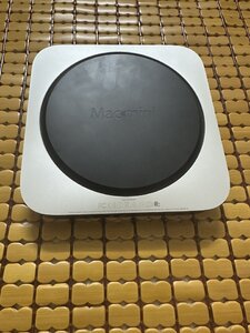IMG_8646.jpeg