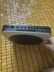 IMG_8647.jpeg