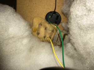 IMG_2023.jpeg