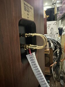 IMG_4711.jpeg
