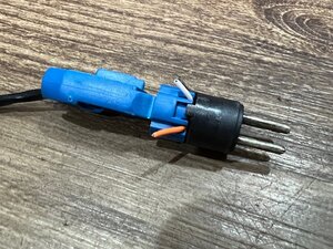 IMG_9065.jpeg