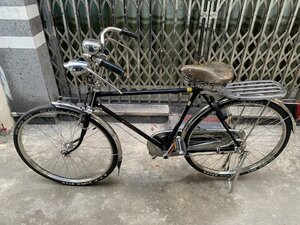 IMG_0520.jpeg