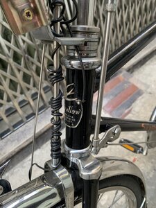 IMG_0521.jpeg