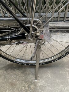IMG_0528.jpeg