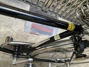 IMG_0534.jpeg