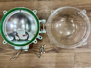 IMG_9081.jpeg