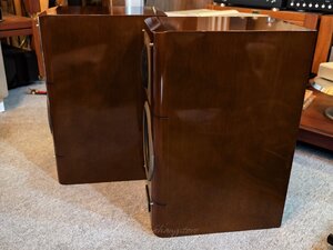 IMG_20251016_194445.jpg