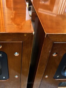 IMG_20251016_153851.jpg