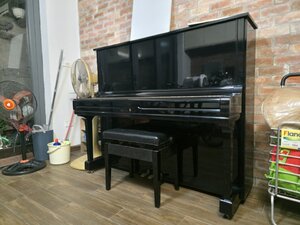 20251010_174535.jpg