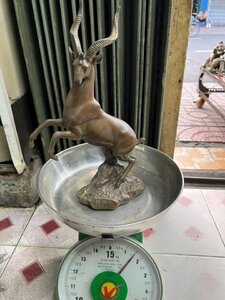 IMG_20251017_144641.jpg