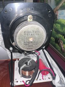 IMG_4288.jpeg