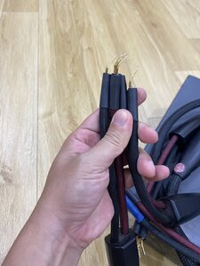 IMG_0401.jpeg