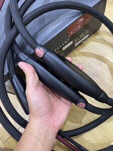 IMG_0402.jpeg
