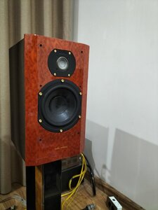 IMG20251024211925.jpg