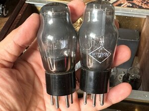 IMG_9508 (Medium).JPG