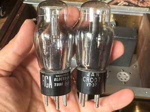 IMG_9509 (Medium).JPG