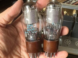 IMG_9510 (Medium).JPG