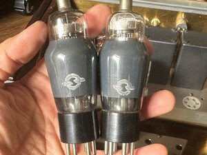 IMG_9511 (Medium).JPG