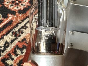 IMG_9520 (Medium).JPG