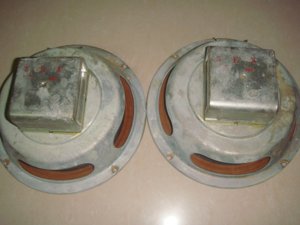 loa 20cm-1.JPG