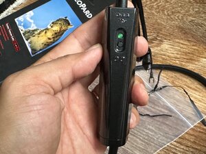 IMG_4654 (Medium).JPG