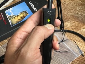 IMG_4655 (Medium).JPG