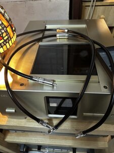 photo_2026-01-05 13.50.17.jpeg