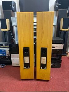 486046842_2948588505301723_1562133955564778061_n (1).jpg