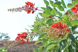 DSC_4276 8x6.jpg