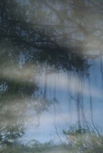 DSC_4263 86.jpg