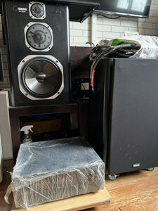 Yamaha NS1000X-1.jpg