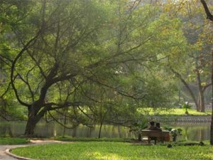 images1440000_muathu1.jpg