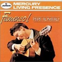 Flamenco.jpg