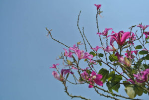 DSC_4602 86.jpg