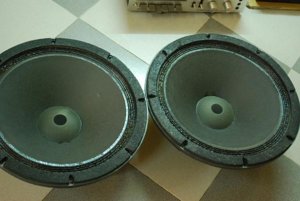 DSC_8684.jpg