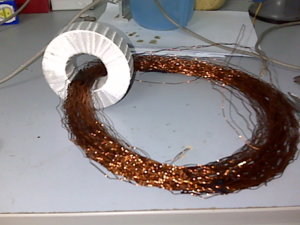 IMG00394.jpg