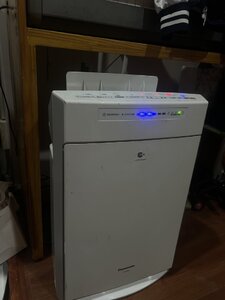 IMG_7520.jpeg