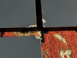 IMG_0291 (Medium).JPG