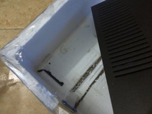 IMG_0573.JPG