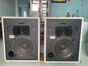 IMG_0220.jpeg